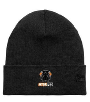 30th Reunion - Beanie